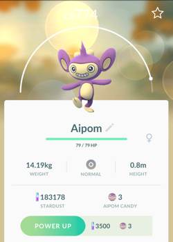 Aipom promises he won't eat your skin while you sleep. You can trust him. For sure.